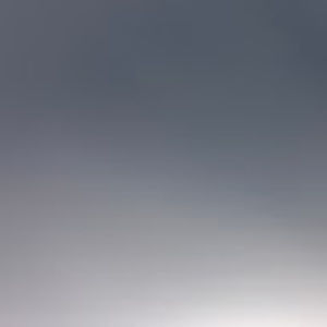 Meet your Posher, Bree